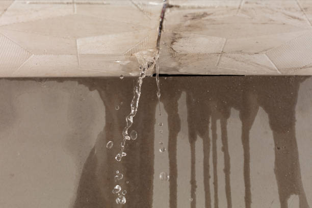 Professional Structural Drying technician working in Orrville, OH